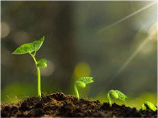 J9����(china)��˾����